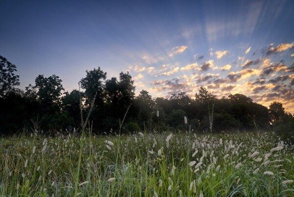 wilbow bergamo light